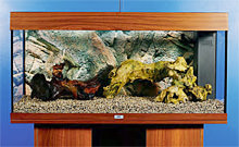 aquarium5.jpg