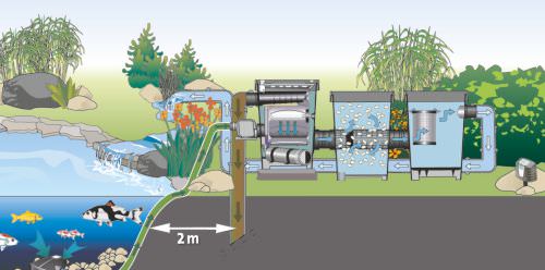 Aquaponics fish waste filter Growing Algae For Fun And Profit