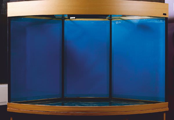 marine-aquarium-set-up-1.jpg