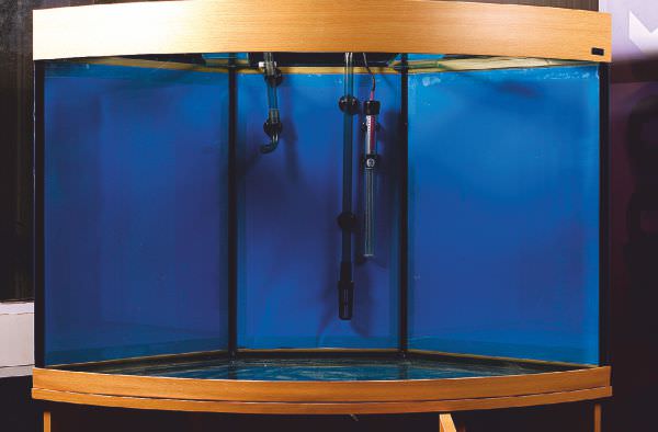 marine aquarium set ups