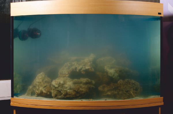 marine-aquarium-set-up-7.jpg