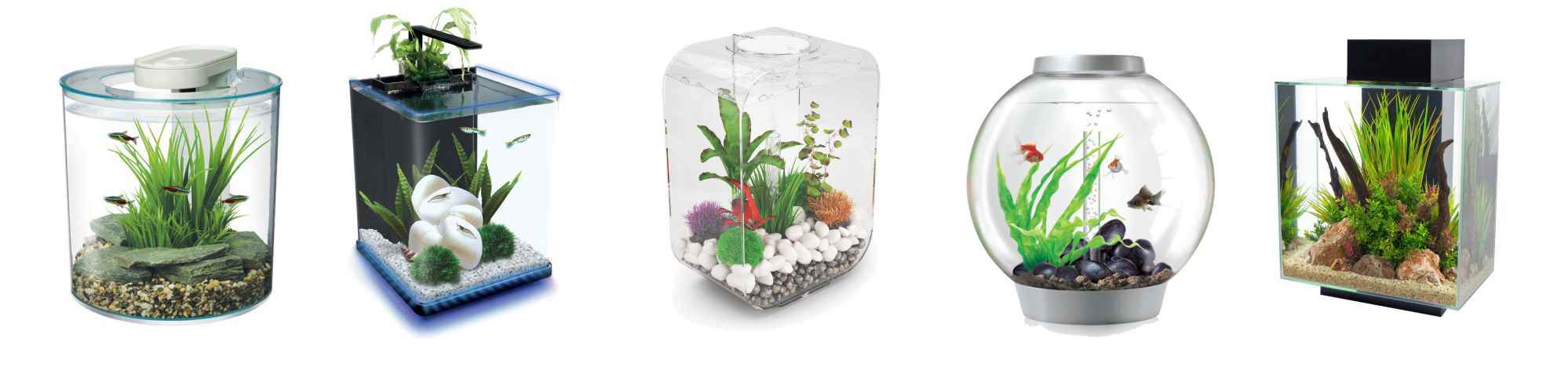 small-aquariums.jpg